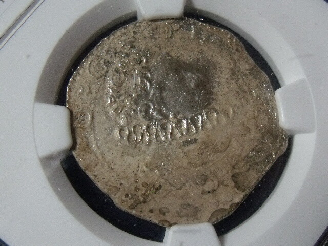 Foto 7 di 8