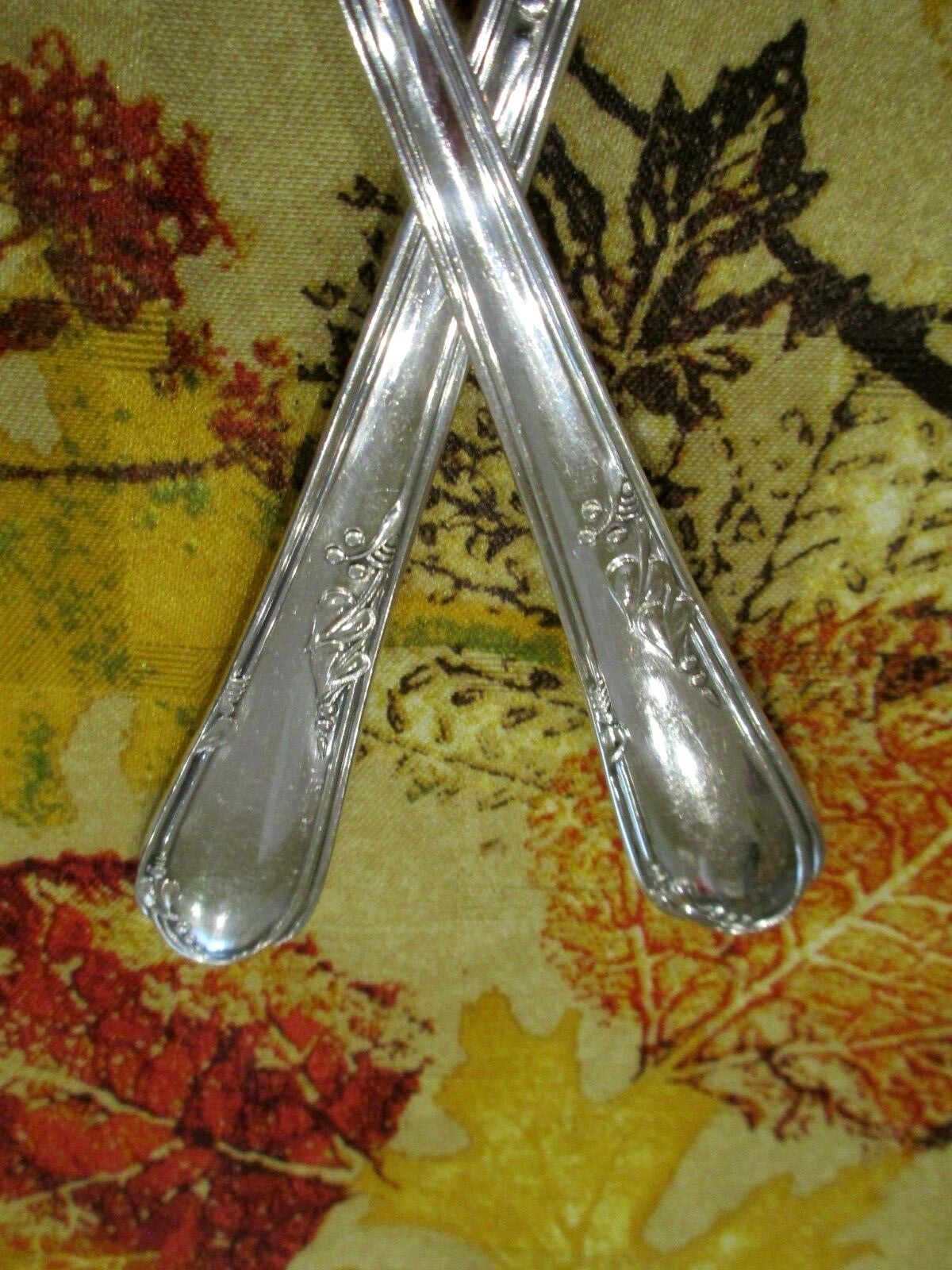 Picture 8 of 12