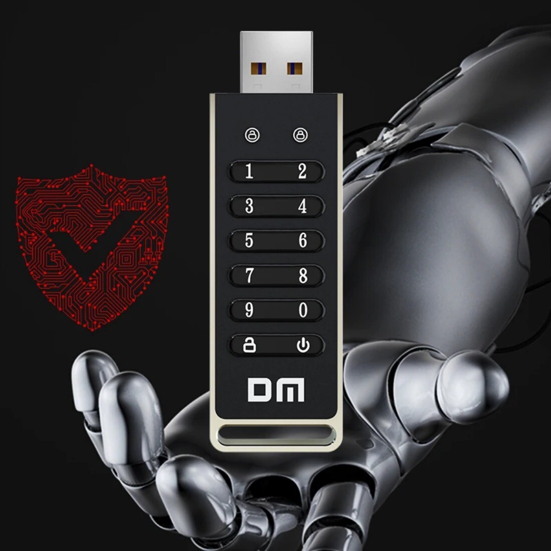 DM FD063 256-bit Encrypted USB Drive Password Secure Flash
