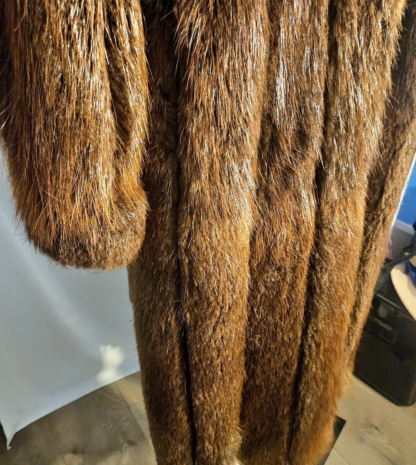 Picture 5 of 22