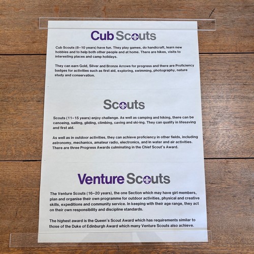 VINTAGE ORIGINAL BOY CUB SCOUTS ASSOCIATION POSTERS X8 RARE RECRUITMENT VENTURE - Picture 9 of 9
