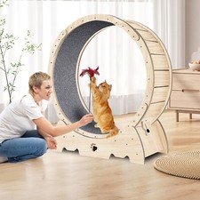 Large Wooden Cat Exercise Wheel Cat Treadmill Running Wheel Silent Cat Toy