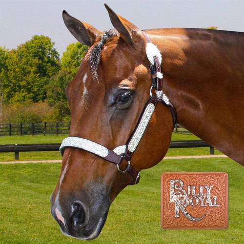 Billy Royal Classic Show Halter Dark Oil Full Horse Size Billy Royal Classic Show Halter Dark Oil Full Horse Size
