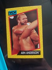 WCW WORLD CHAMPIONSHIP WRESTLING  1991 TRADING CARD #53 ARN ANDERSON