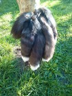 Bild 2 von 3