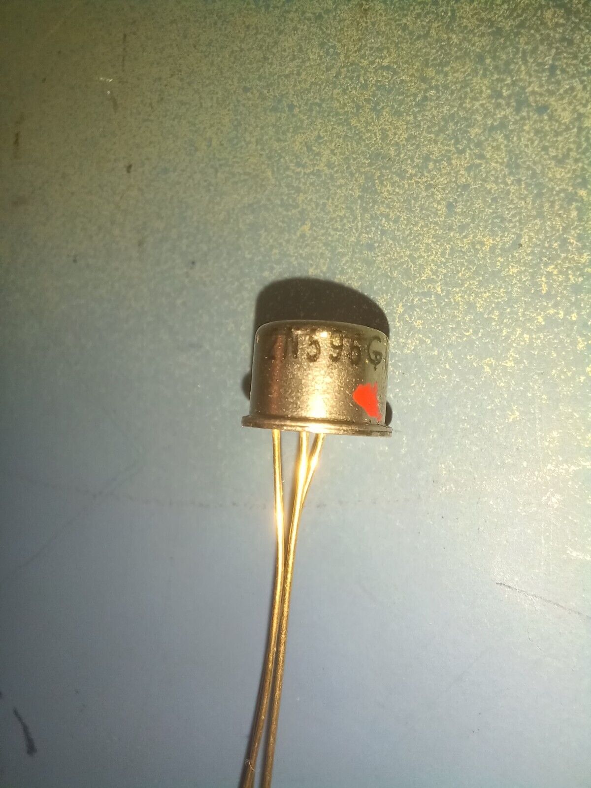 Foto 2 di 3
