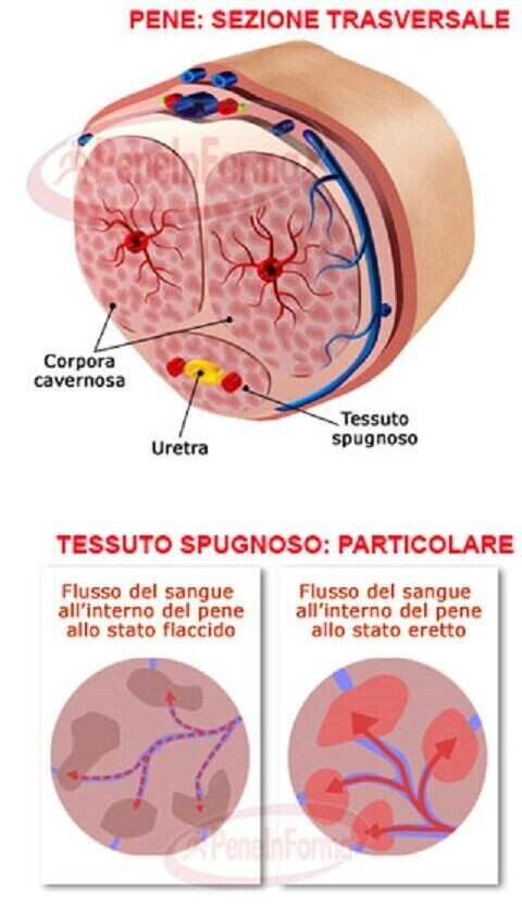 Foto 6 di 8