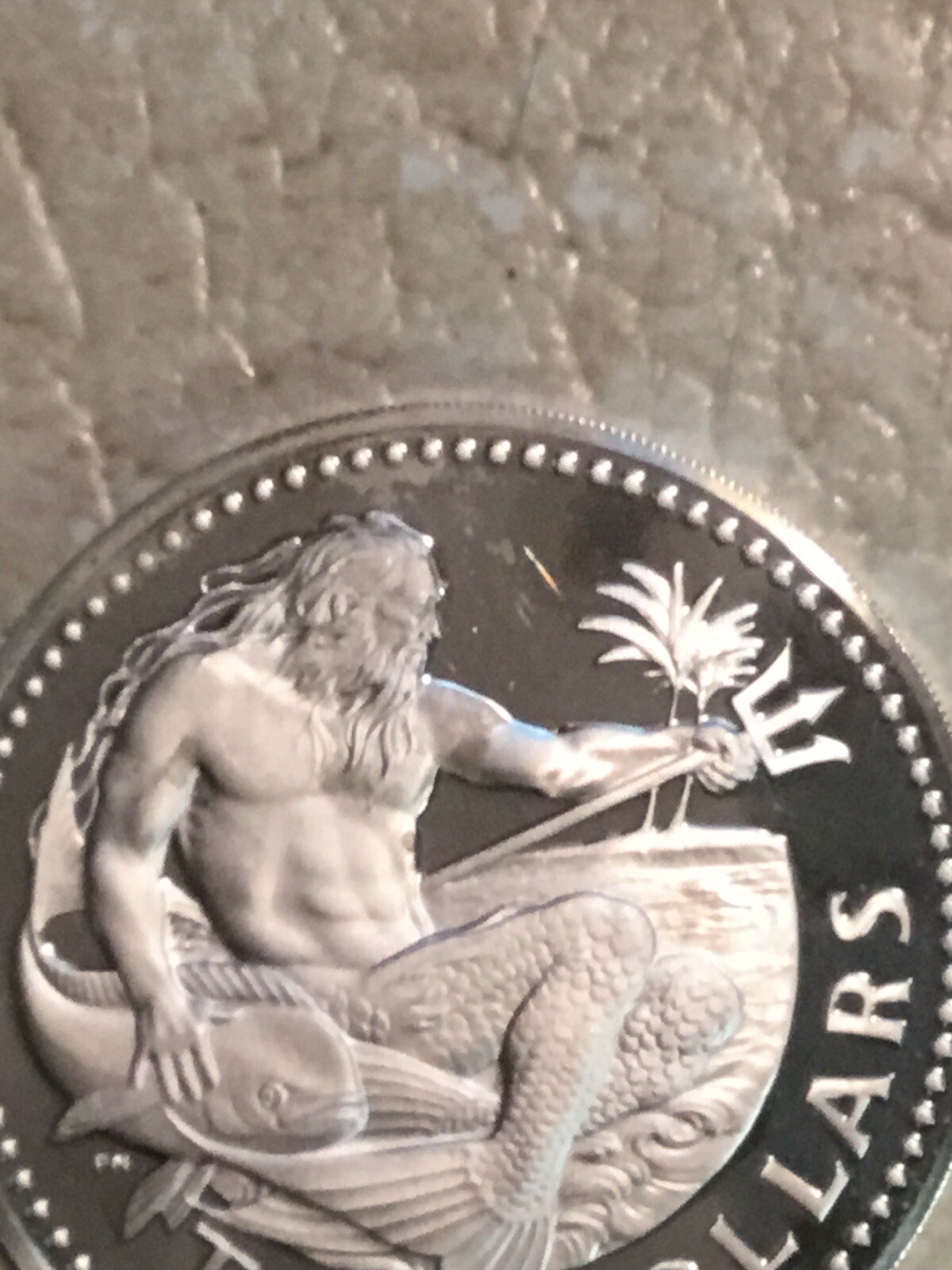 Picture 6 of 7