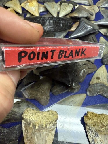 1998 TOTAL WAR POINT BLANK DEMO THRASH METAL UNDERGROUND GREECE - Picture 7 of 9