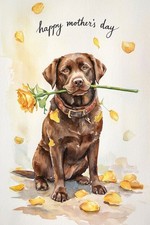 Large Luxury Chocolate Labrador Mothers Day Card MOT