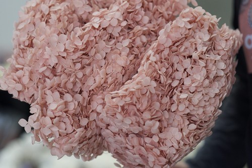 Preserved Annabelle Hydrangea Premium Natural Dried Flower Wedding Floral Decor - Picture 21 of 105
