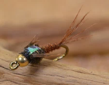 12 Flies Tungsten Flash Back Pheasant Tail Mayfly Nymph Flies|Mustad Signature