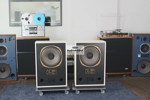 tannoy arden 3828