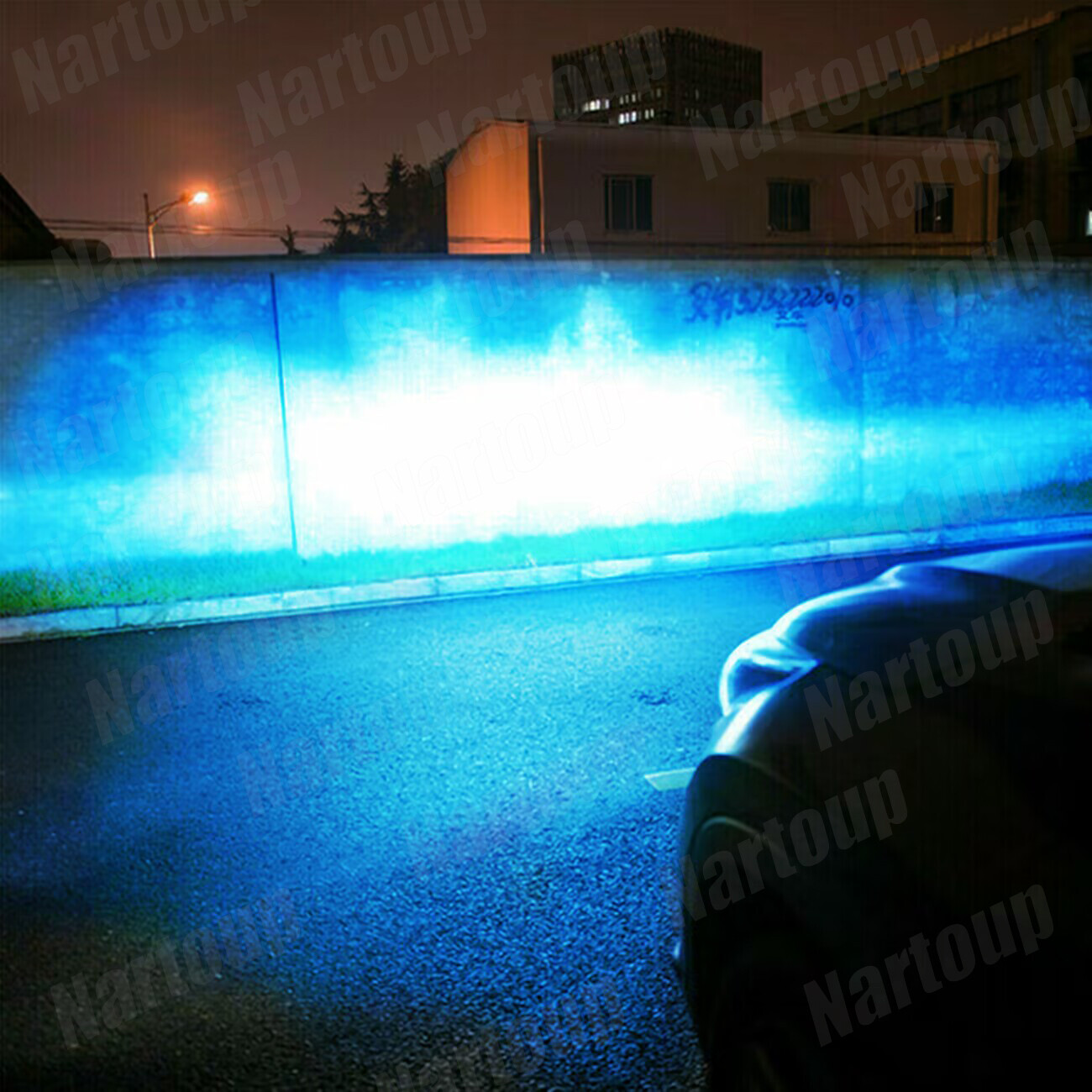 Bild 5 von 12