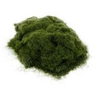 Brandneu Graspulver Zubeh?r 5mm Diorama Einfach Zu Bedienen Landschaft
