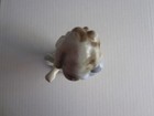 Bild 5 von 6
