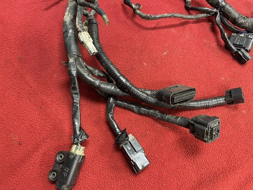2009 Yamaha Yfz450r Wiring Harness  - Foto 2 di 7