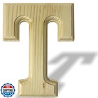 Heather's cf Unfinished Pine Wood Letter for Wall Decor, 6 Inch S