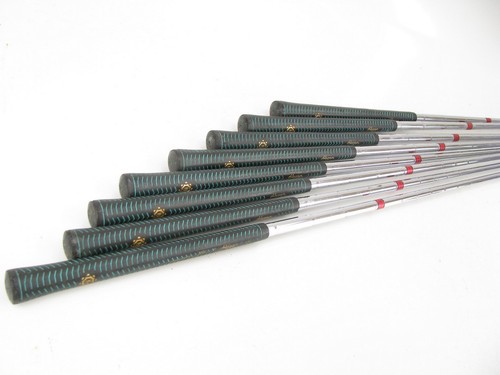 Ben Hogan Edge Iron Set 3-EW w/ Steel Apex Stiff - Picture 5 of 5