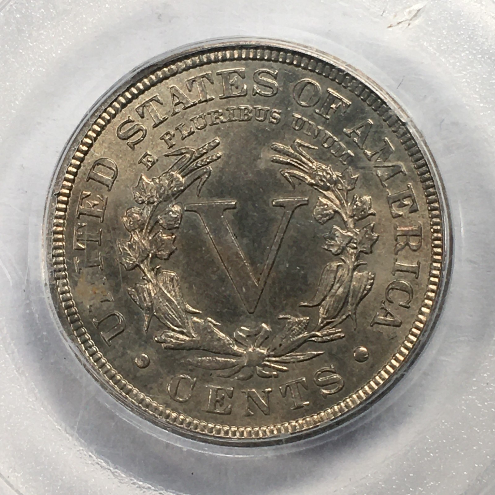 Picture 5 of 5