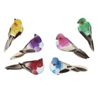 6Pcs Emulation Birds Decor Creative Tree Ornament Garden Yard Adornment
