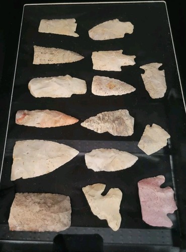 Native American 15-Count Arrowhead  Collection Mounted In Case ~ Estate Find