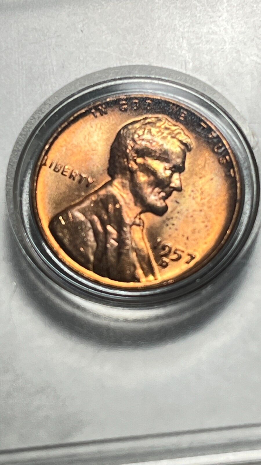 Picture 5 of 5