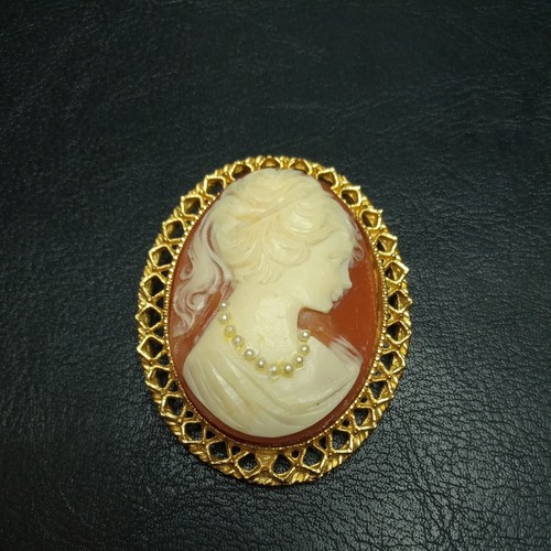 Vintage Schmuck Kamee Pin Brosche Samen Kunstperle Lucite. 8161