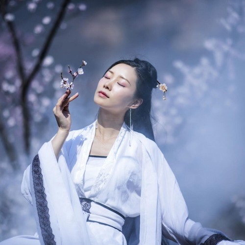 Chinesischen Stil Haar Clips Für Frauen Holz Haar Stick Asiatische Haar Zubehör - Bild 7 von 12