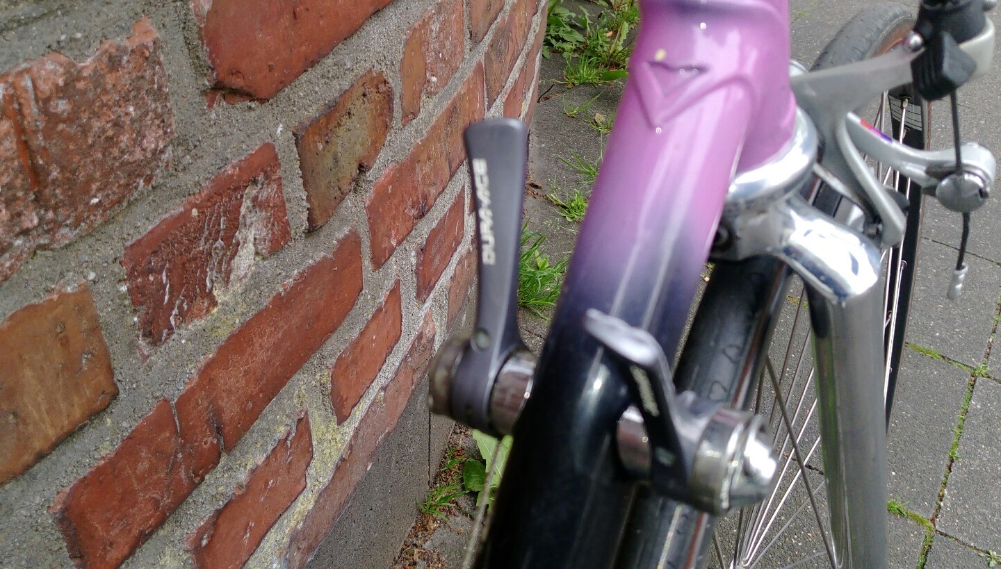 Bild 3 von 12