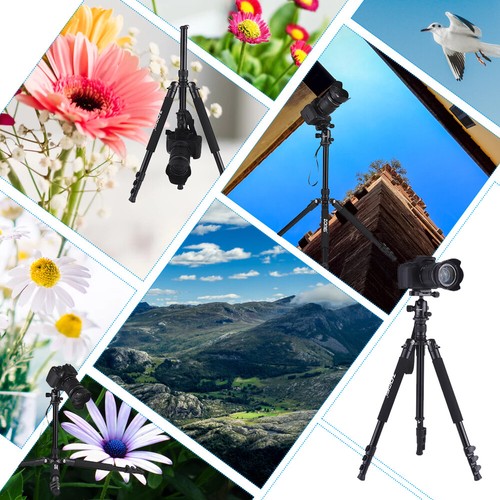 ZOMEI Q555 Travel Tripod 63inch Lightweight Alloy+Ball Head A2L8 - Picture 2 of 8