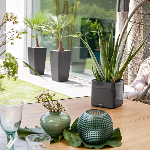 Macetas de plantas de interior CUBO LECHUZA cuadrada brillante polietileno resina autoriegable - Imagen 11 de 28