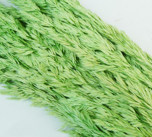 Salicchio Lungo Gr 250 Essiccato Colorato Composizione Floreale Decorazione - Imagen 3 de 8