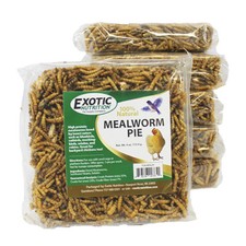 Mealworm Pie - Healthy Suet Cake Insect Treat for Wild Birds - Bluebird, Chicken
