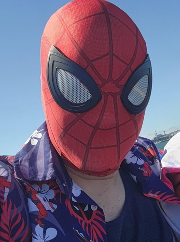 Spider Man Mask Hood Spiderman Halloween Cosplay Spandex Cosplay Roleplay Free S - Picture 9 of 14