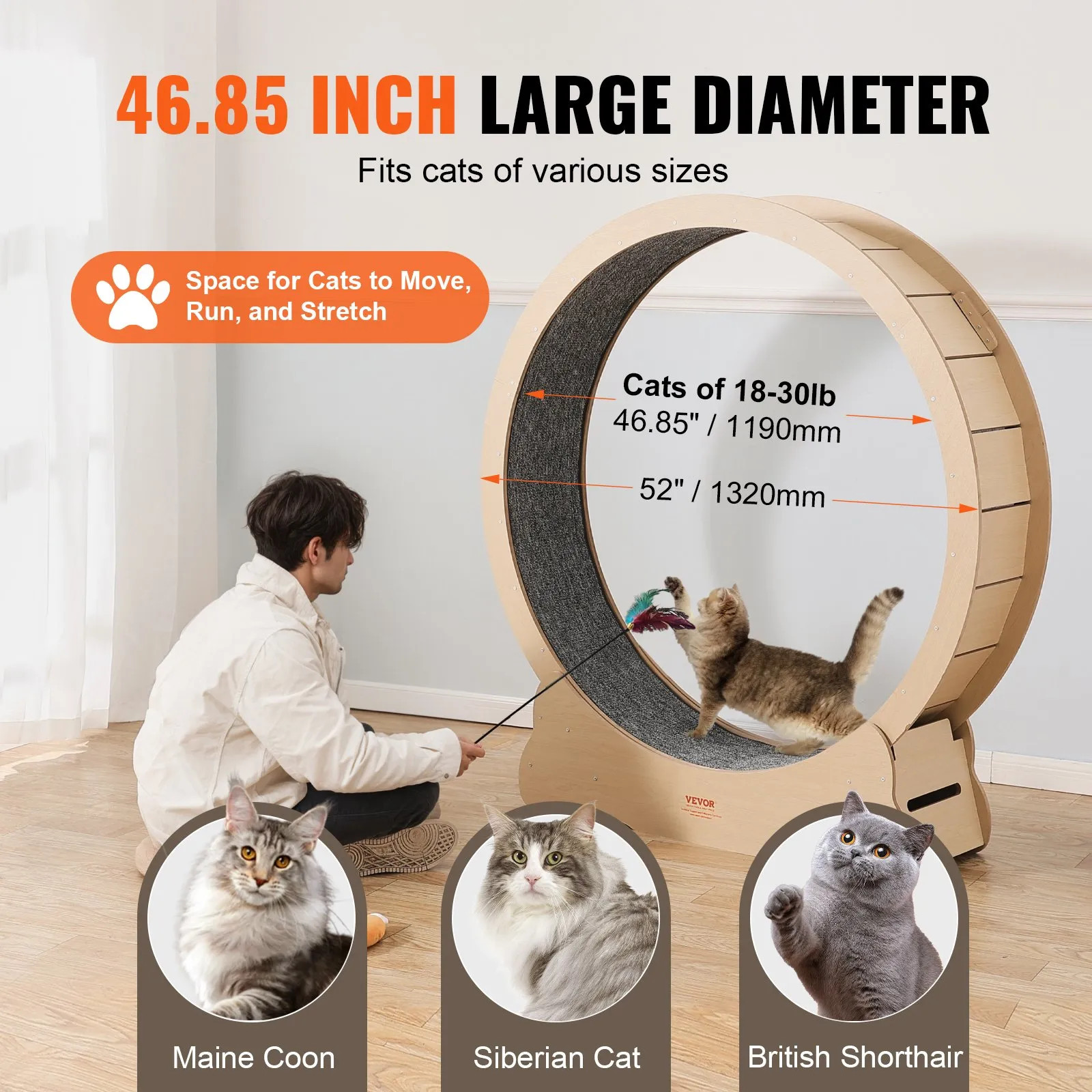 Cyclette per Gatti in Legno, Tapis Roulant per Gatti Diametro 1320 mm per Gatti foto 4