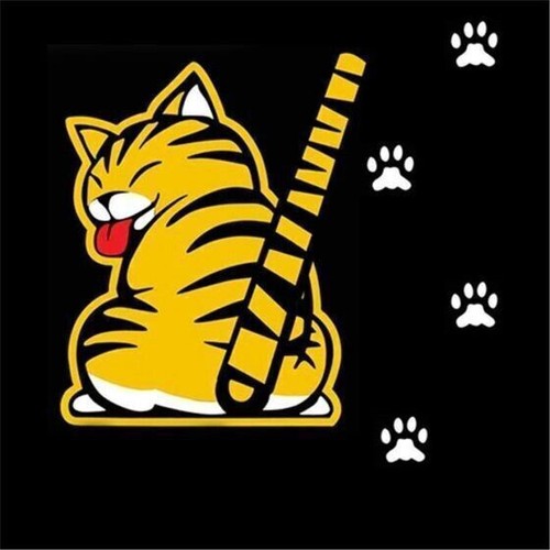 3D Car Windshield Wiper Sticker Windshield Rear 3D Car Wiper Sticker - Picture 3 of 5