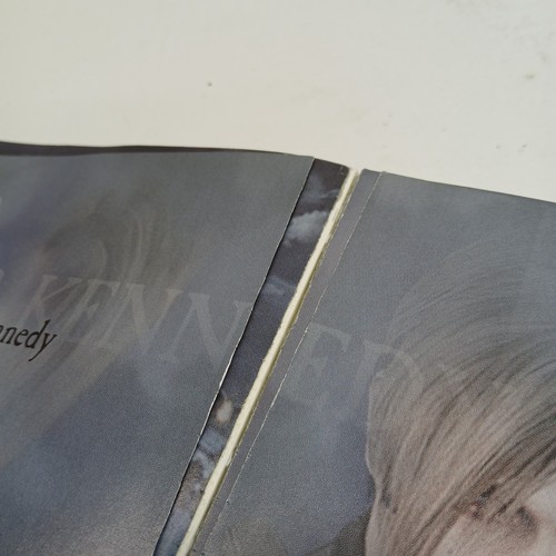 PS2 Resident Evil 4 Bradygames Signature Series Strategy Guide PlayStation READ - Picture 3 of 3