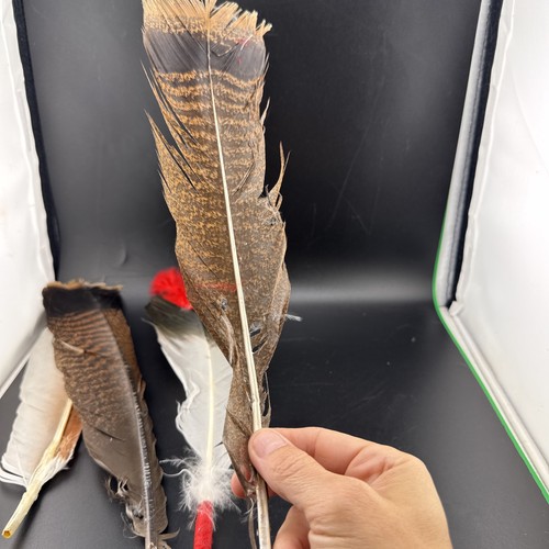 Native Indian American Feather Headdress 📦 Lot #2 - Bild 9 von 9