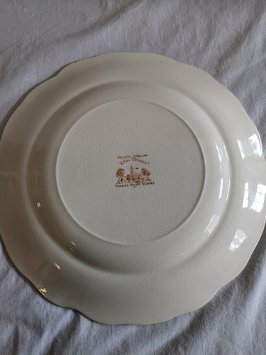 Palissy Pottery Dinner Plate Thames River Scenes Eton College England VTG - Picture 4 of 4