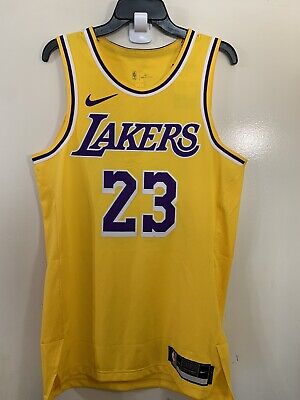 Nike Los Angeles Lakers LeBron James #23 Icon Swingman Jersey 2XL