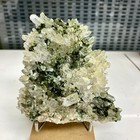Foto 17 di 20