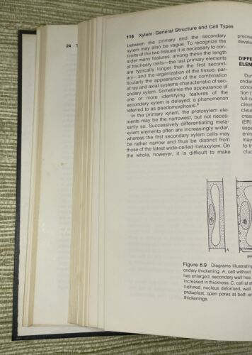 Anatomy of Seed Plants 2nd Edition Katherine Esau 1977 Hardcover Book Wiley - Foto 13 di 24