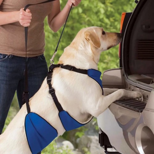 Hebehilfe verstellbar Hundegeschirr 4 in 1 eingeschränkte Mobilität Hundestütze - Bild 24 von 72