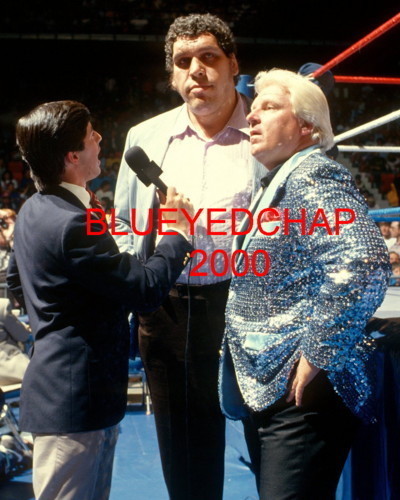 ANDRE THE GIANT & BOBBY HEENAN WRESTLER 8 X 10 WRESTLING PHOTO WWF