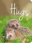 Hugs: A Photographic Celebration of the Cutest Animal Couples by Ella Earle (Hardback, 2015)