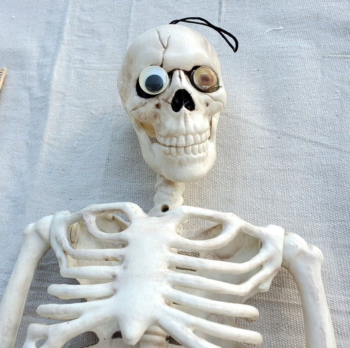 Scheletro articolato posabile 36 pollici struttura osso umano decorazione Halloween - occhio senza L - Foto 8 di 9