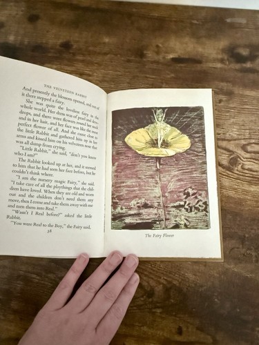 The Velveteen Rabbit Deluxe Edition With Slipcase Excellent Vintage Condition - Bild 14 von 15