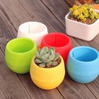 Hot New Garden Flower Pots Plant Decoration Small Succulent Pot Accessories