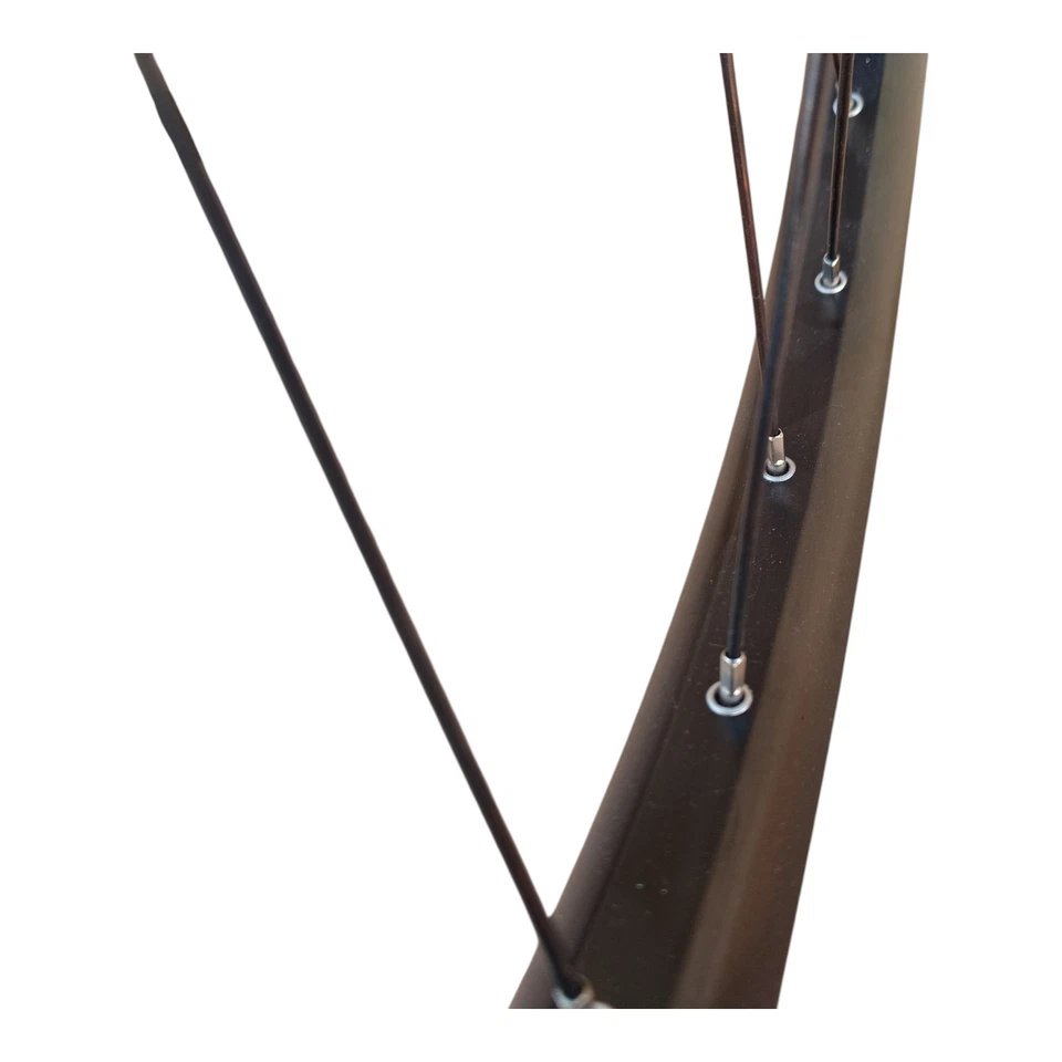 ENVIOLO Heavy Duty Komplettrad 28 Zoll Disc Schwarz 28 Zoll DT Swiss Speiche NEU - Bild 4 von 4